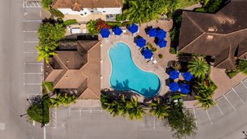 An aerial view of a pool surrounded by palm trees and umbrellas.